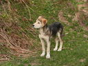 DSCN5433.JPG
