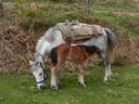 DSCN5449.JPG