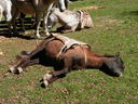 DSCN5502.JPG