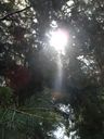 DSCN5549.JPG