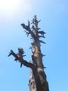 DSCN5594.JPG