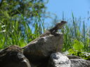 DSCN5617.JPG