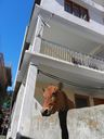 DSCN5805.JPG