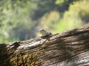 DSCN5985.JPG