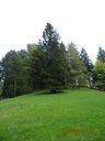 IMG_2085.JPG