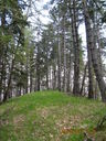 IMG_2087.JPG