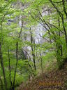 IMG_2146.JPG