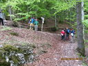IMG_2147.JPG