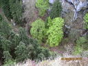 IMG_2150.JPG
