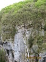IMG_2153.JPG