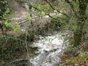 IMG_2161.JPG