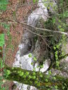 IMG_2162.JPG