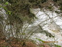 IMG_2163.JPG