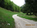 IMG_2168.JPG
