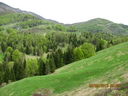 IMG_2174.JPG