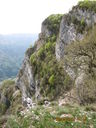 IMG_2200.JPG