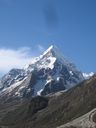 IMG_3348.jpg