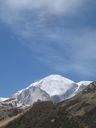 IMG_3350.jpg