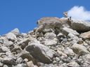 IMG_3360.jpg