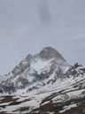 IMG_3388.jpg