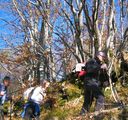 IMG_3626.jpg