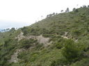 IMG_3717.JPG