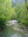 IMG_3764.JPG