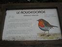 IMG_3792.JPG