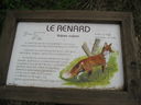 IMG_3805.JPG