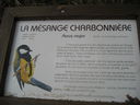 IMG_3813.JPG