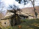 IMG_3872.jpg
