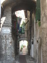 IMG_3880.JPG