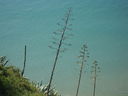 IMG_3893.JPG