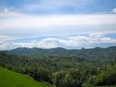 IMG_3906.jpg