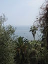 IMG_3907.JPG