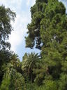 IMG_3908.JPG