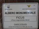 IMG_3954.JPG