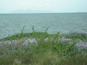 IMG_4088.JPG