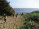 IMG_4120.JPG