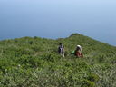 IMG_4203.JPG