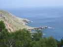 IMG_4230.JPG