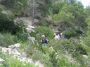 IMG_4231.JPG