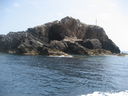 IMG_4290.JPG