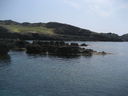 IMG_4302.JPG