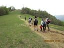 IMG_4390.jpg
