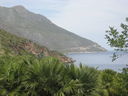 IMG_4438.JPG