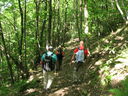 IMG_5696.JPG