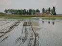 IMG_5832.JPG