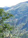 IMG_6790.JPG
