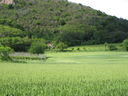 IMG_6791.JPG